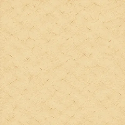 Parchment